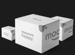 Moovers - Packed and Ready to Move